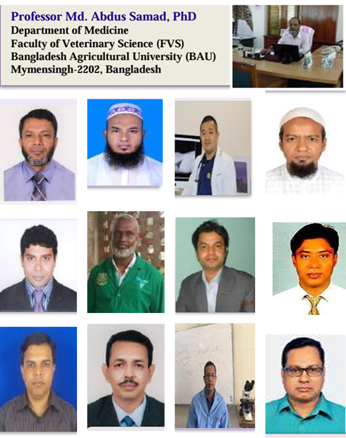 editorial board